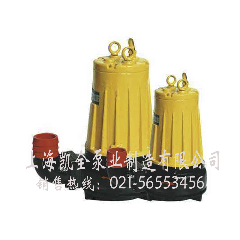 上海凱全泵業(yè) 上海凱全泵業(yè)