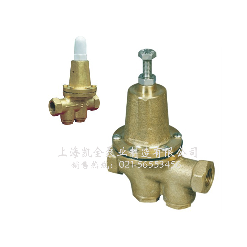 上海凱全泵業(yè) 上海凱全泵業(yè)